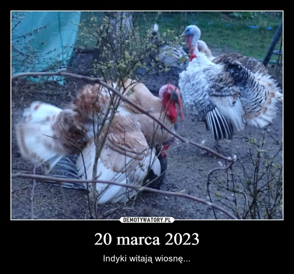 
    20 marca 2023