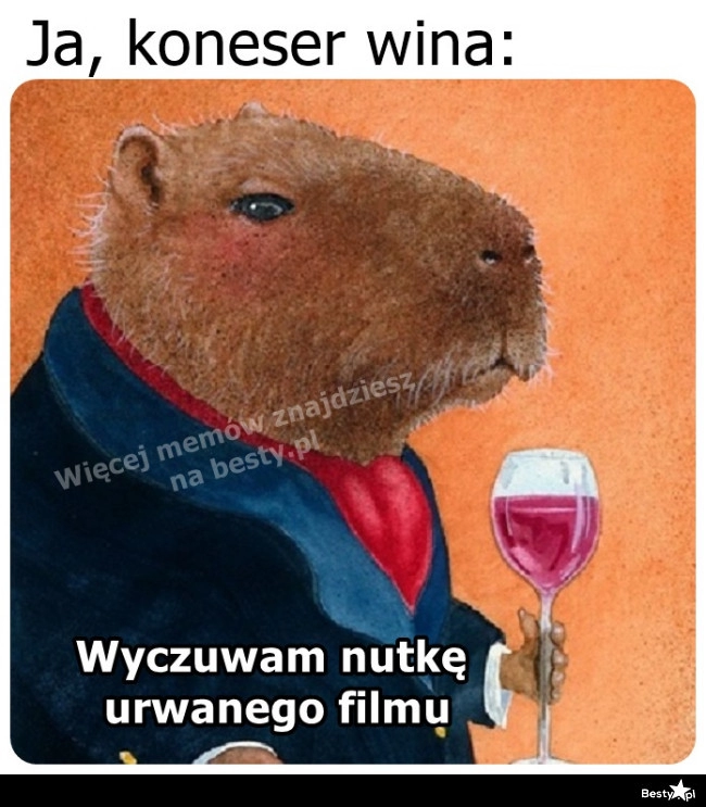 
    Koneser wina 