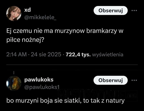 
    Bramkarz