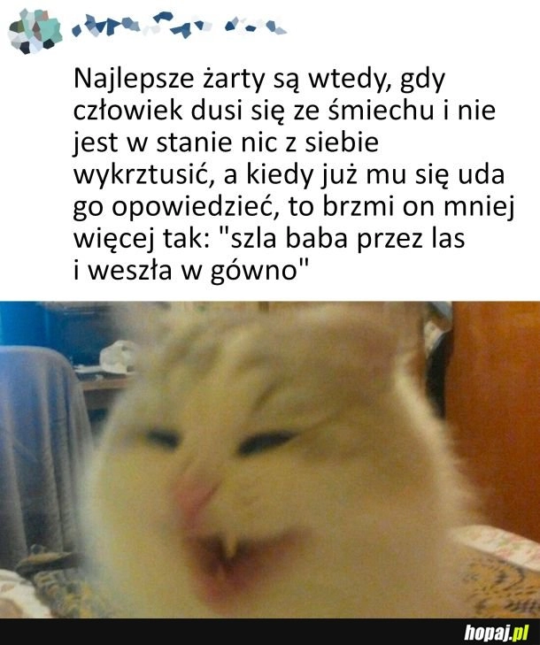 
    Najlepsze żarty