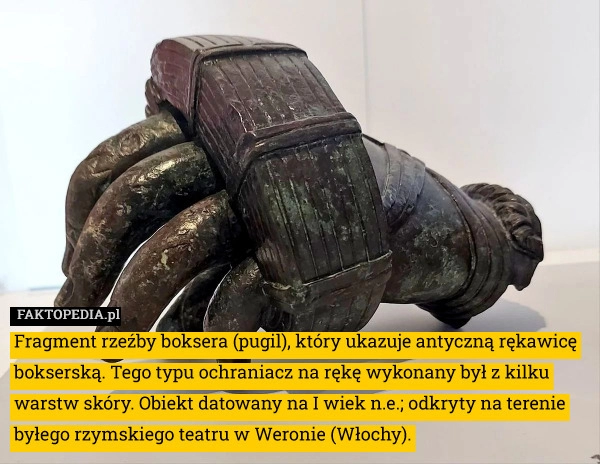 
    Fragment rzeźby boksera (pugil), który ukazuje antyczną rękawicę bokserską.