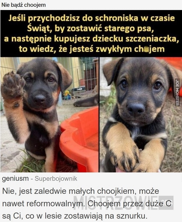 
    Nie bądź...