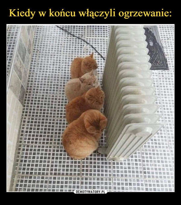 
    Kiedy w końcu włączyli ogrzewanie: