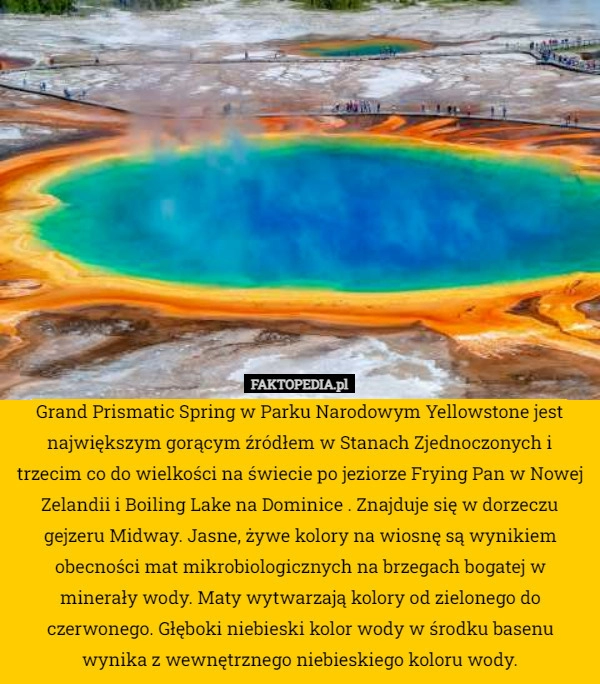 
    Grand Prismatic Spring w Parku Narodowym Yellowstone jest największym gorącym