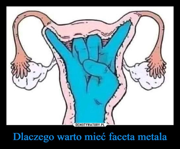 
    Dlaczego warto mieć faceta metala