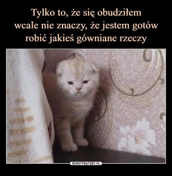 
    Tylko to, że się obudziłem
wcale nie znaczy, że jestem gotów robić jakieś gówniane rzeczy