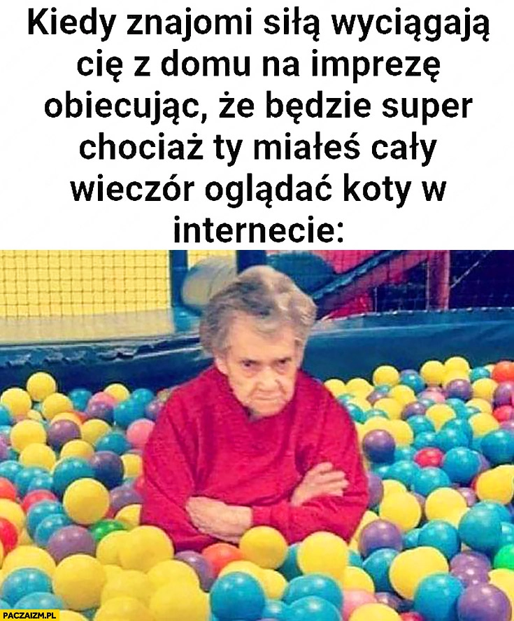 Kiedy znajomi siłą wyciągają Cię z domu na imprezę obiecując, że będzie super chociaż Ty miałeś cały wieczór oglądać koty w internecie niezadowolona babcia
