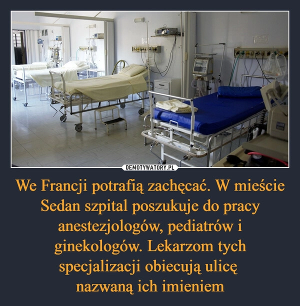 
    We Francji potrafią zachęcać. W mieście Sedan szpital poszukuje do pracy anestezjologów, pediatrów i ginekologów. Lekarzom tych specjalizacji obiecują ulicę 
nazwaną ich imieniem