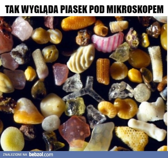 
    Niesamowite
