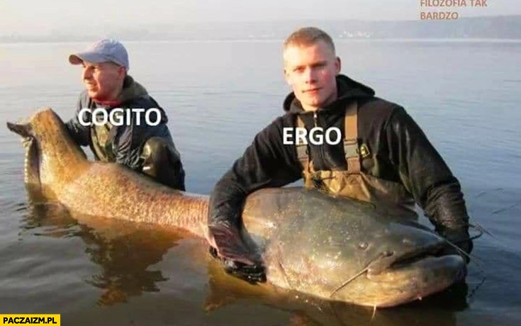 
    Cogito ergo sum ryba sum