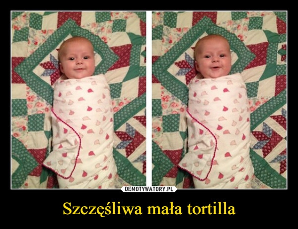 
    Szczęśliwa mała tortilla