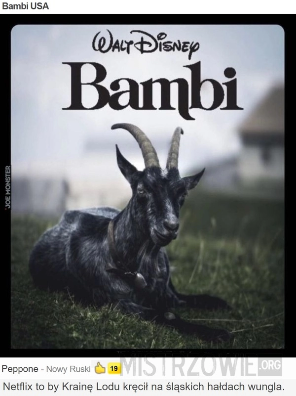 
    Bambi USA