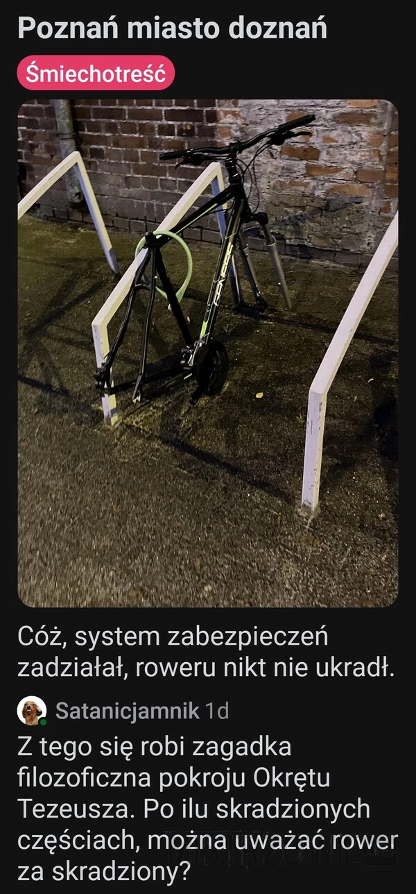 
    Kradzież