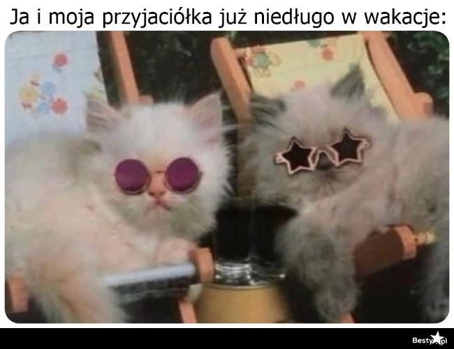 
    Coraz bliżej wyjazdu 