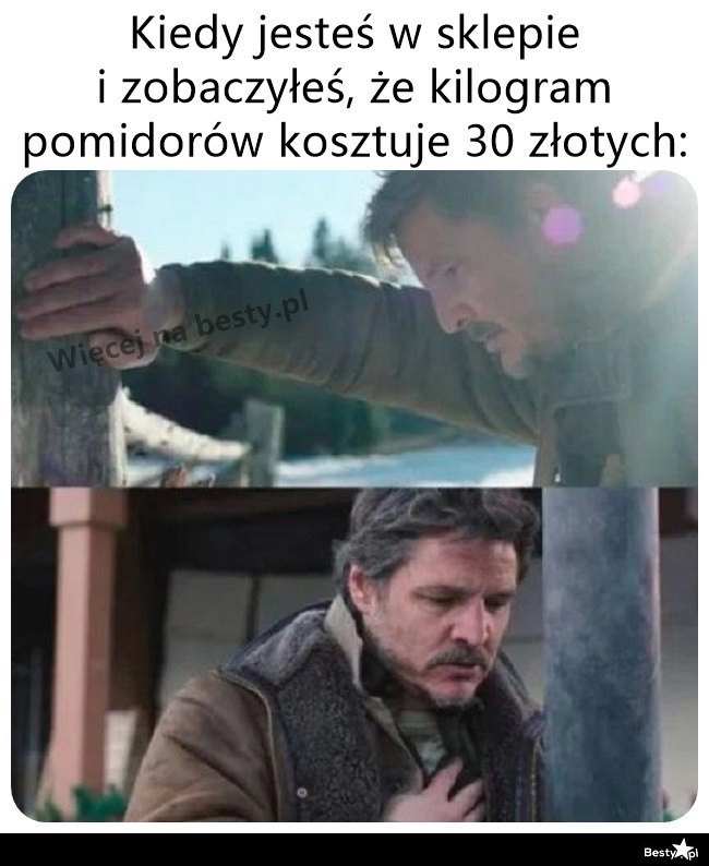 
    No to będą kanapki bez pomidorka 