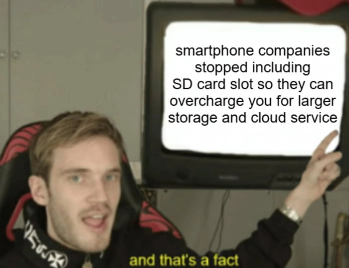 
    1TB SD card costs less than $100 nowadays and you can easily reuse it for your next device.