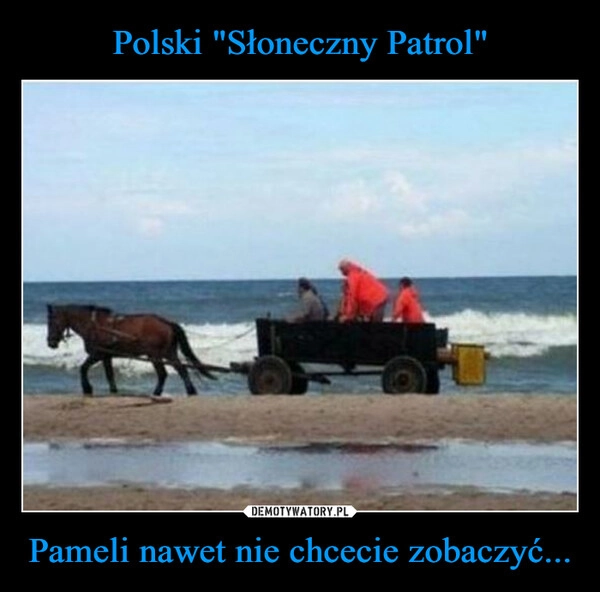 
    Polski "Słoneczny Patrol" Pameli nawet nie chcecie zobaczyć...