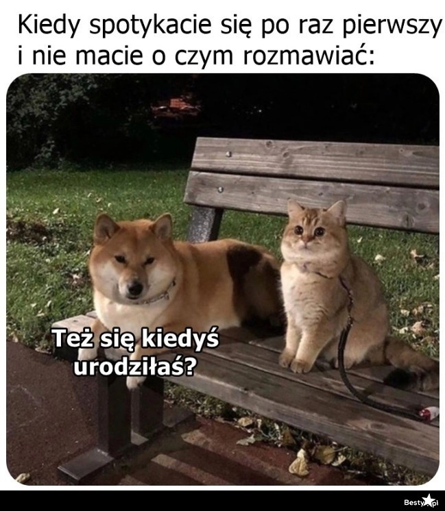 
    Trochę niezręcznie 