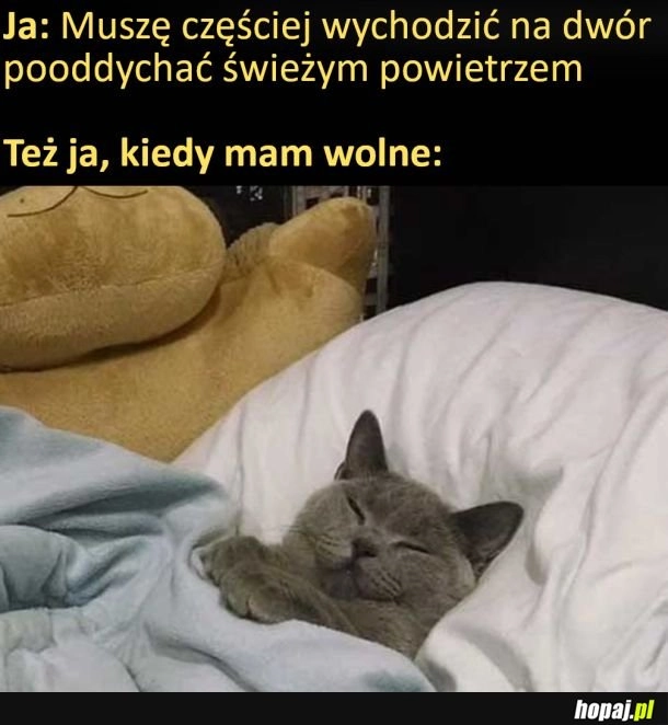 
    Tak to właśnie jest