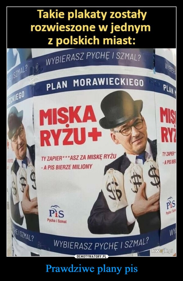 
    Prawdziwe plany pis