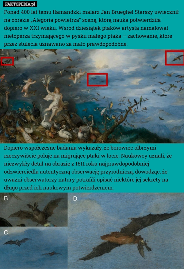 
    Ponad 400 lat temu flamandzki malarz Jan Brueghel Starszy uwiecznił na obrazie
