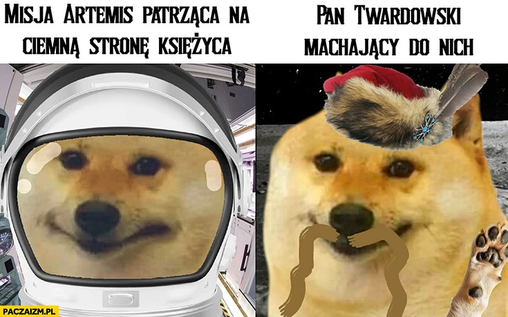 
    Misja Artemis patrząca na ciemną stronę księżyca vs pan Twardowski machający do nich pies pieseł doge