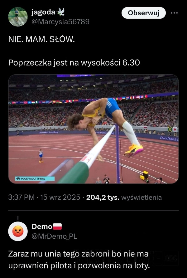 
    Skok o tyczce
