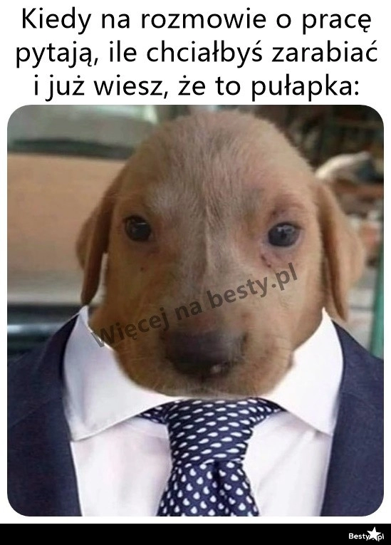 
    A może najpierw chociaż widełki? 