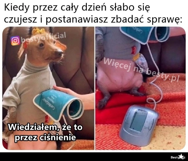 
    Winowajca znaleziony 