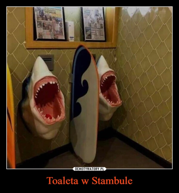 
    Toaleta w Stambule