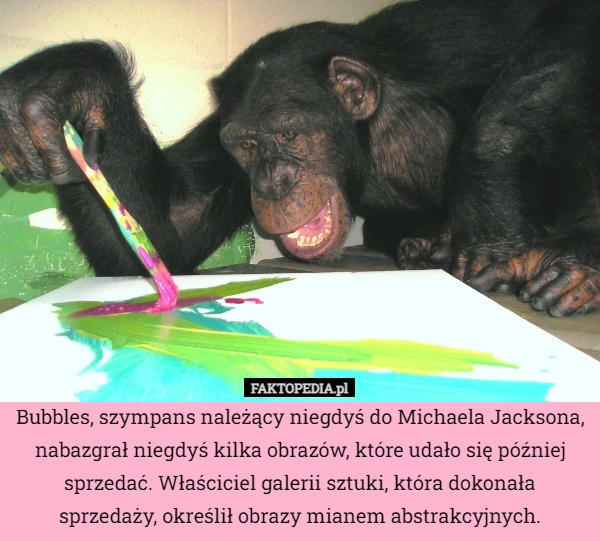 
    Bubbles, szympans należący niegdyś do Michaela Jacksona, nabazgrał niegdyś