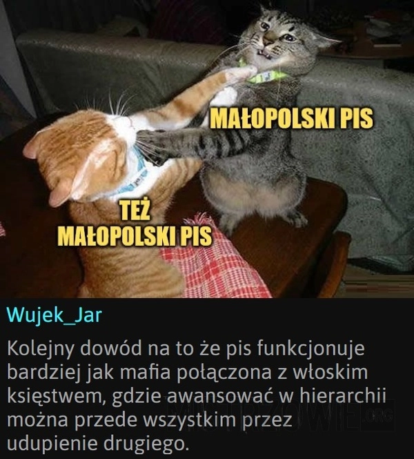 
    Małopolski PiS