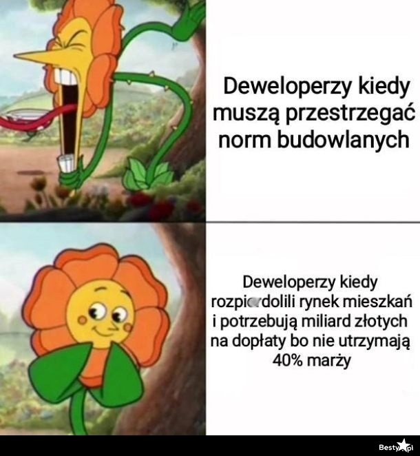 
    Deweloperzy 