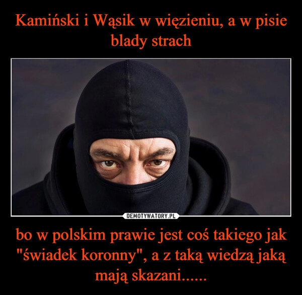 
    Kamiński i Wąsik w więzieniu, a w pisie blady strach bo w polskim prawie jest coś takiego jak "świadek koronny", a z taką wiedzą jaką mają skazani......