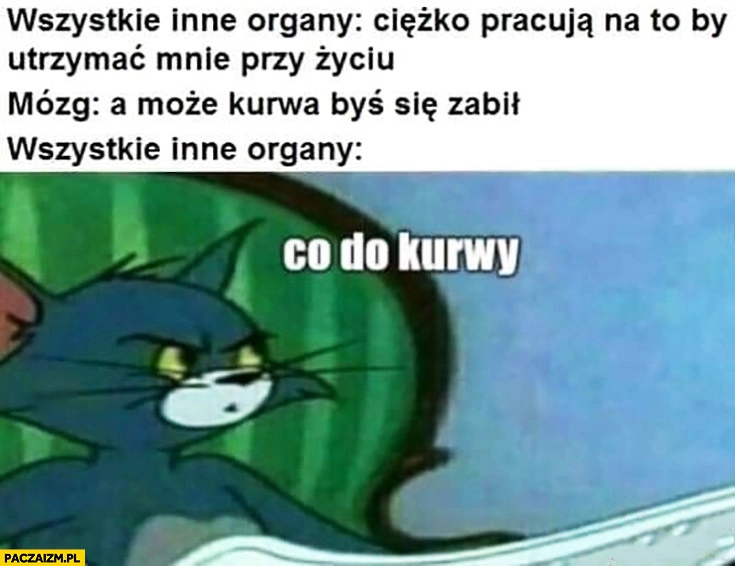 
    Wszystkie inne organy ciężko pracują, mózg: a może byś się zabił? Inne organy: co do kurny?
