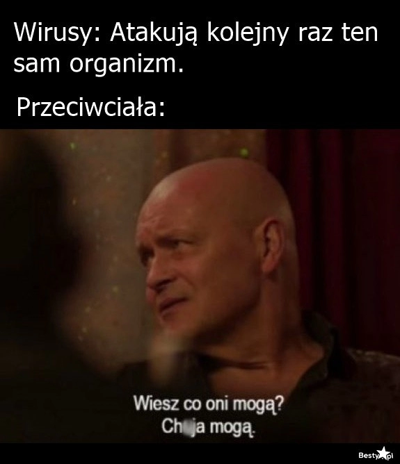 
    Przeciwciała 