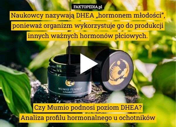 
    Czy Mumio podnosi poziom DHEA? Analiza profilu hormonalnego u ochotników