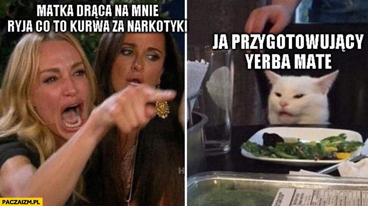 
    Matka drąca na mnie ryja co to za narkotyki, ja przygotowujący yerba mate kot