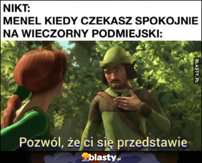 
    Nikt, menel kiedy czekasz spokojnie na wieczorny podmiejski autobus: pozwól, że ci się przedstawię