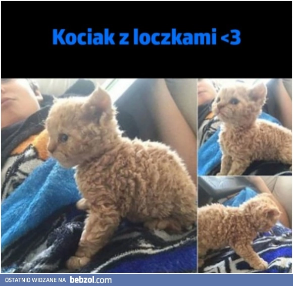 
    Najsłodziej