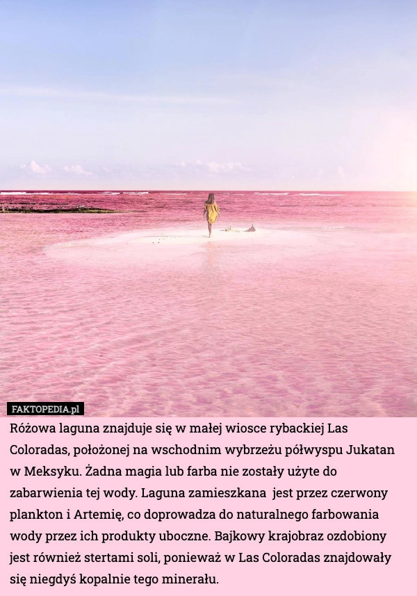 
    Różowa laguna znajduje się w małej wiosce rybackiej Las Coloradas, położonej