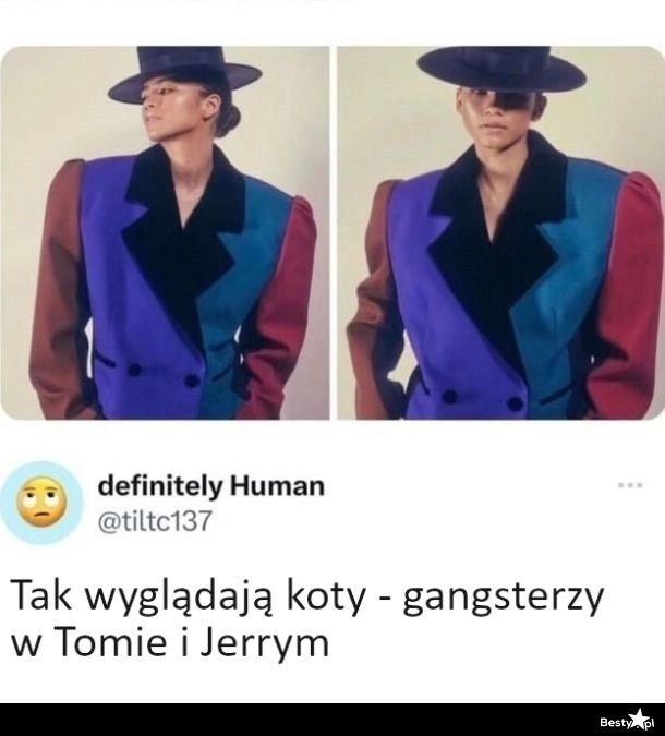 
    Koty gangsterzy 