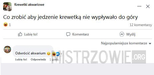 
    
			Krewetki					