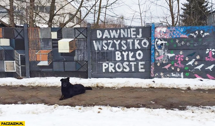 
    Dawniej wszystko było proste napis na murze
