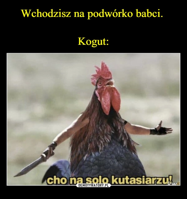 
    Wchodzisz na podwórko babci. 

Kogut: