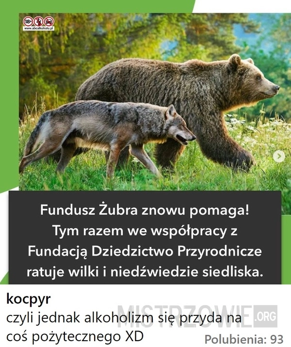 
    Fundusz