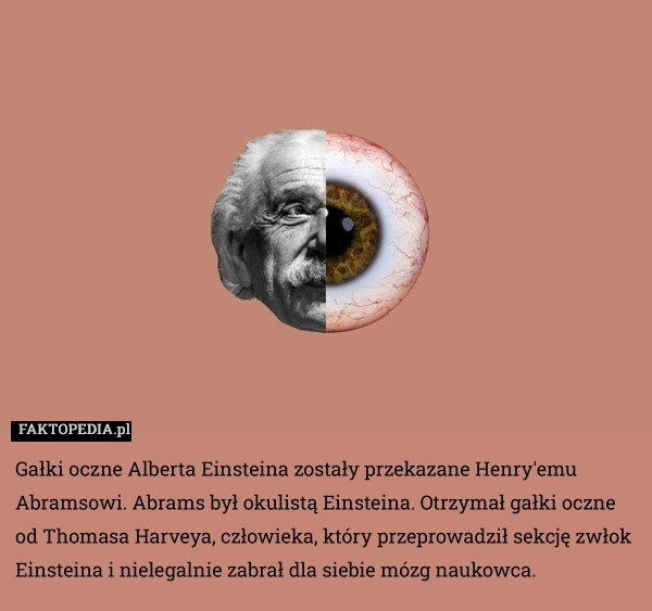 
    Gałki oczne Alberta Einsteina zostały przekazane Henry'emu Abramsowi.