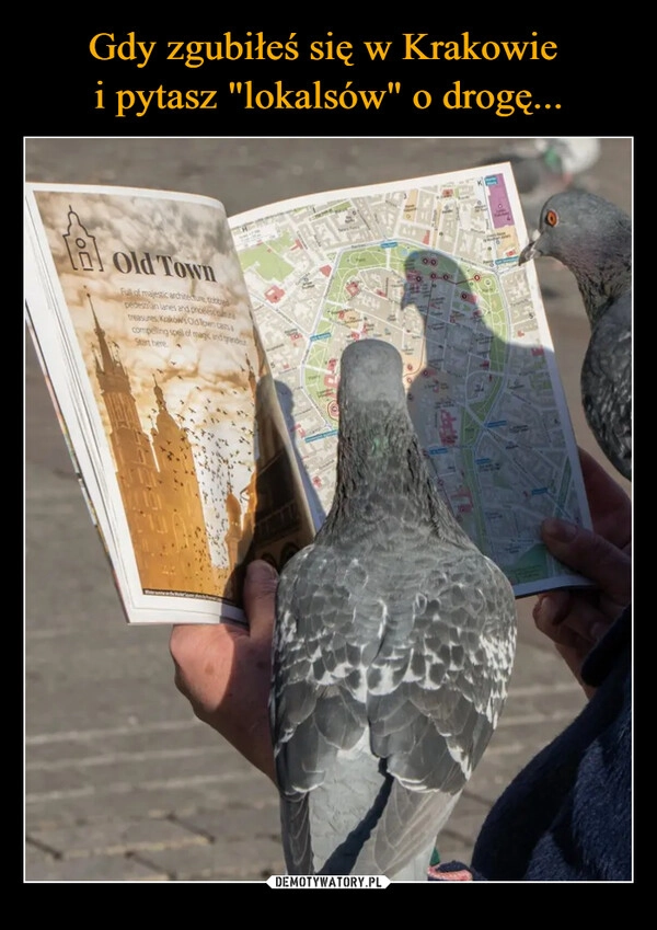 
    Gdy zgubiłeś się w Krakowie 
i pytasz "lokalsów" o drogę...