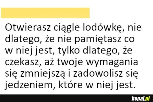 
    Zaglądanie do lodówki