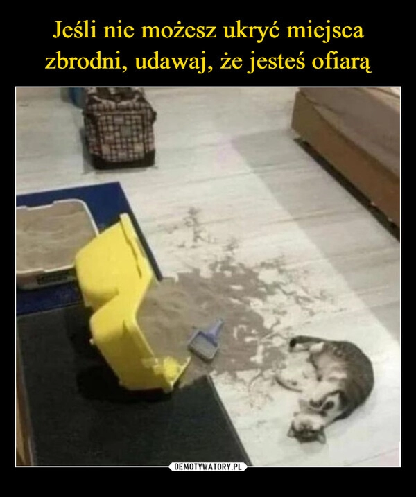 
    Jeśli nie możesz ukryć miejsca zbrodni, udawaj, że jesteś ofiarą